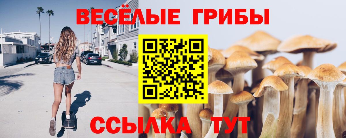 Галлюциногенные грибы Cubensis Геленджик