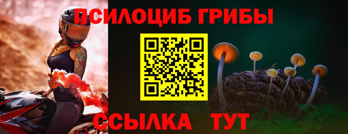 Геленджик  Галлюциногенные грибы мухоморы  Вход с VPN 